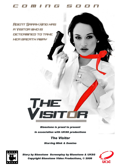 The visitor poster.jpg