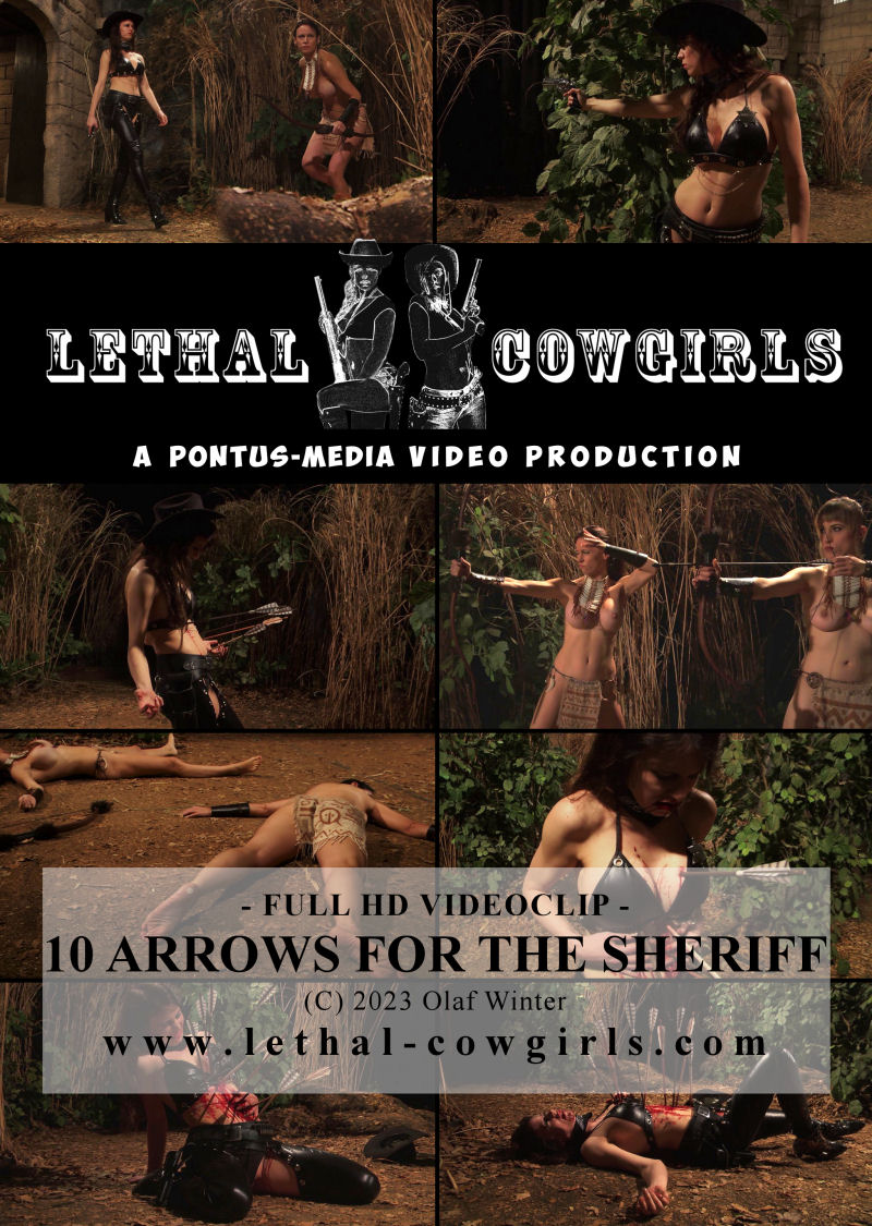 preview_10_arrows_for_the_sheriff.jpg