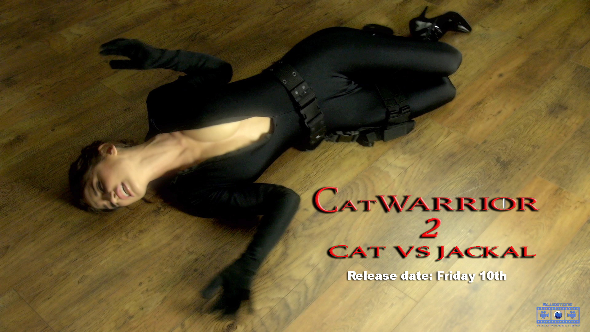 Cat Warrior poster 2.jpg