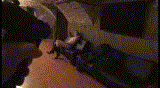 lcm_gif.gif