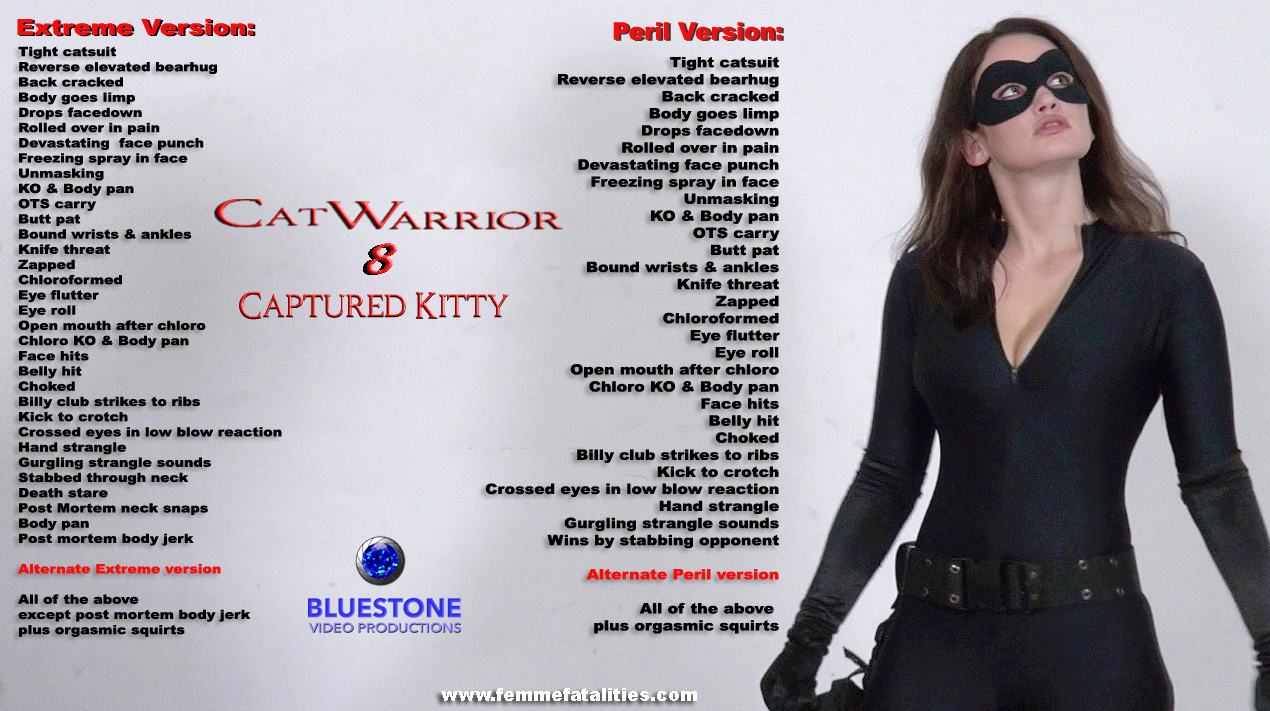 Catwarrior 8 - Captured Kitty poster.jpg